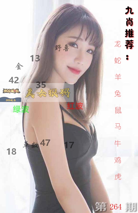 美女报码 第264期