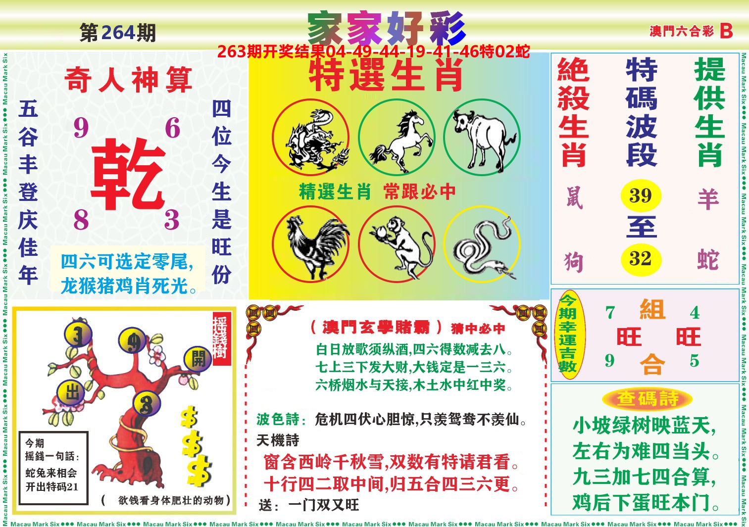 家家好彩B 第264期