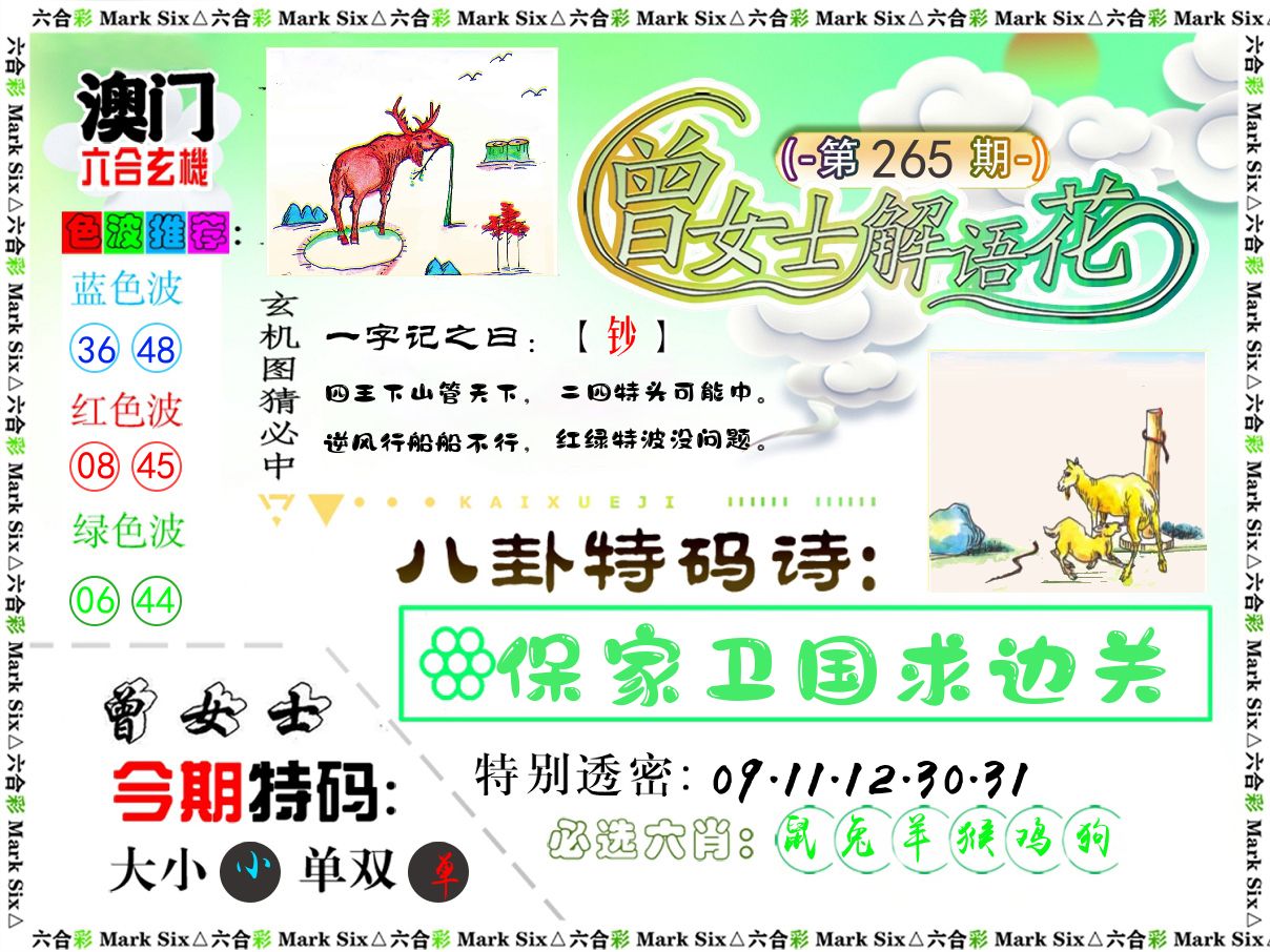 曾女士解语花 第265期
