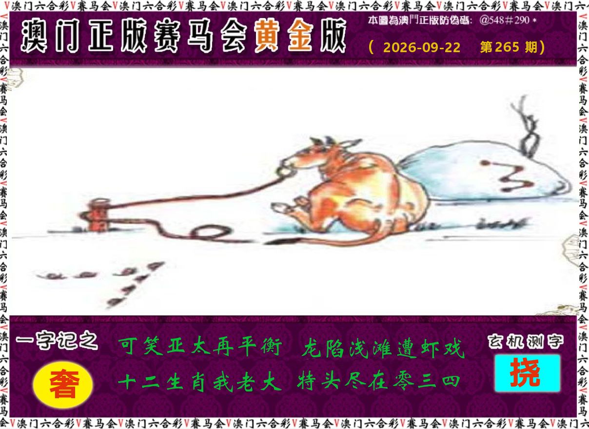 赛马会黄金版 第265期