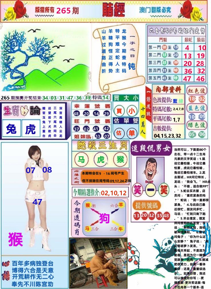 澳门赌经 第265期