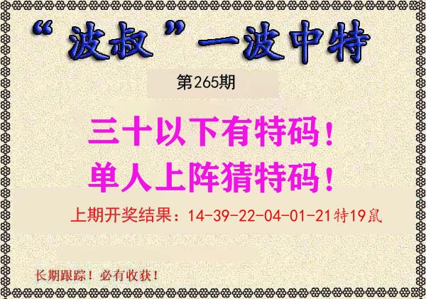 波叔中特 第265期