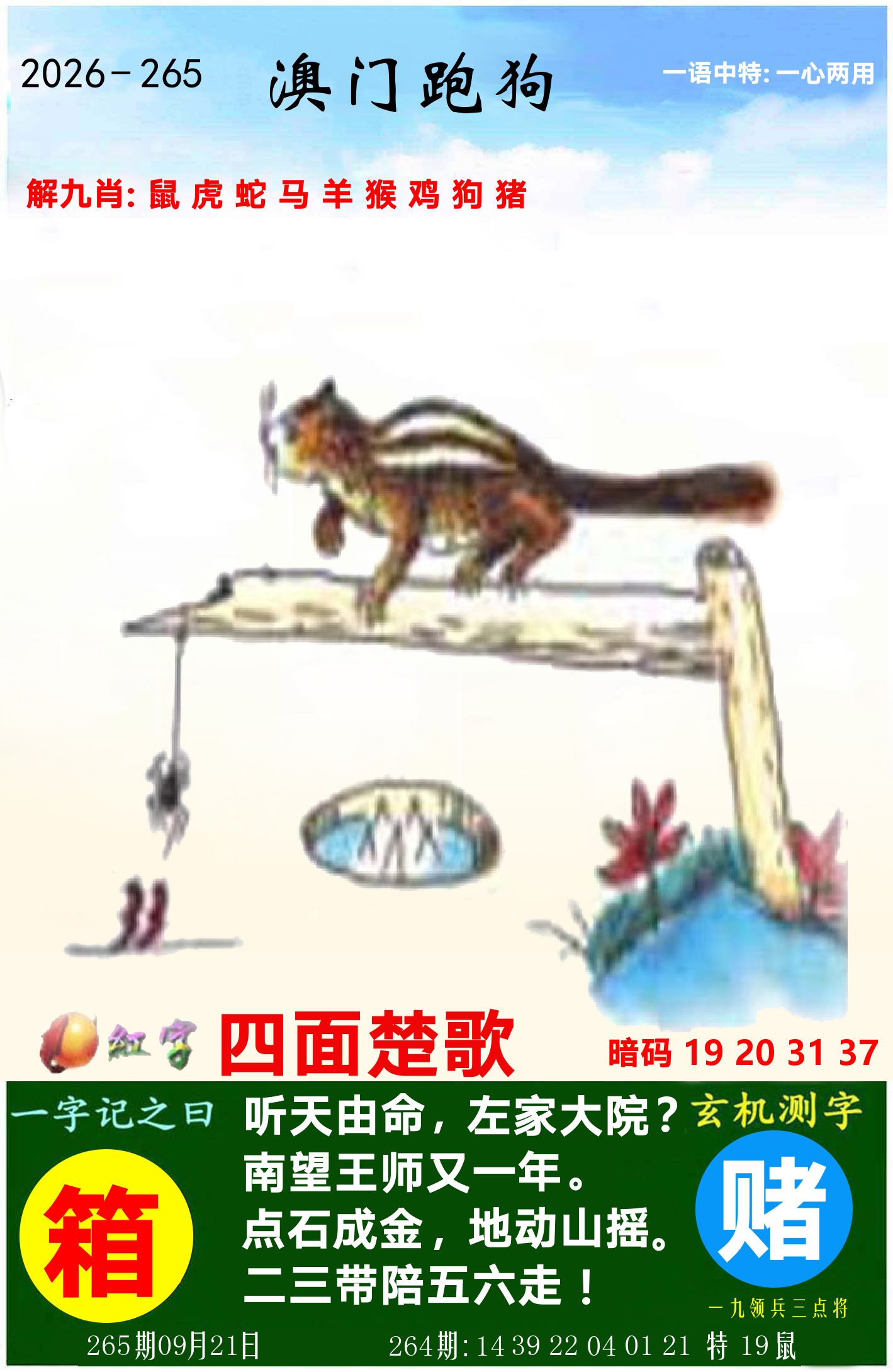 澳门跑狗图 第265期