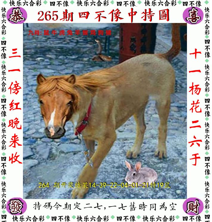 四不像 第265期