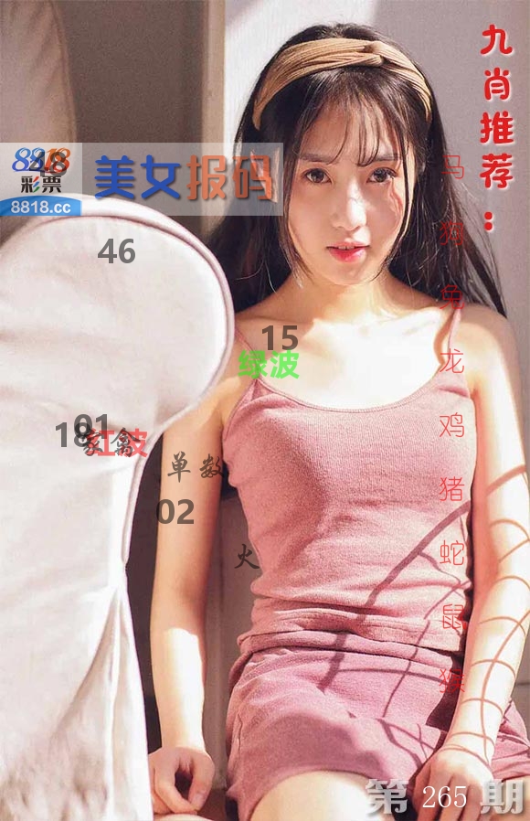 美女报码 第265期