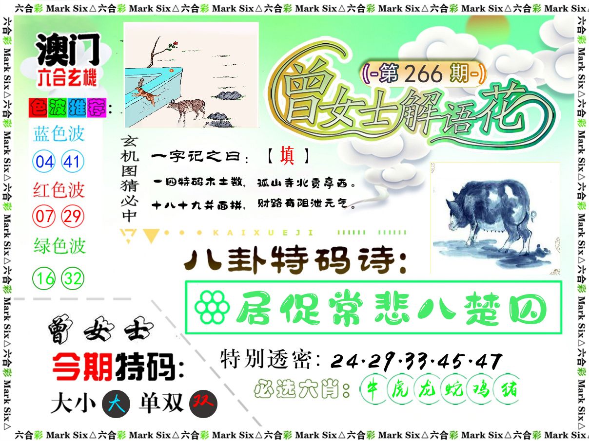 曾女士解语花 第266期