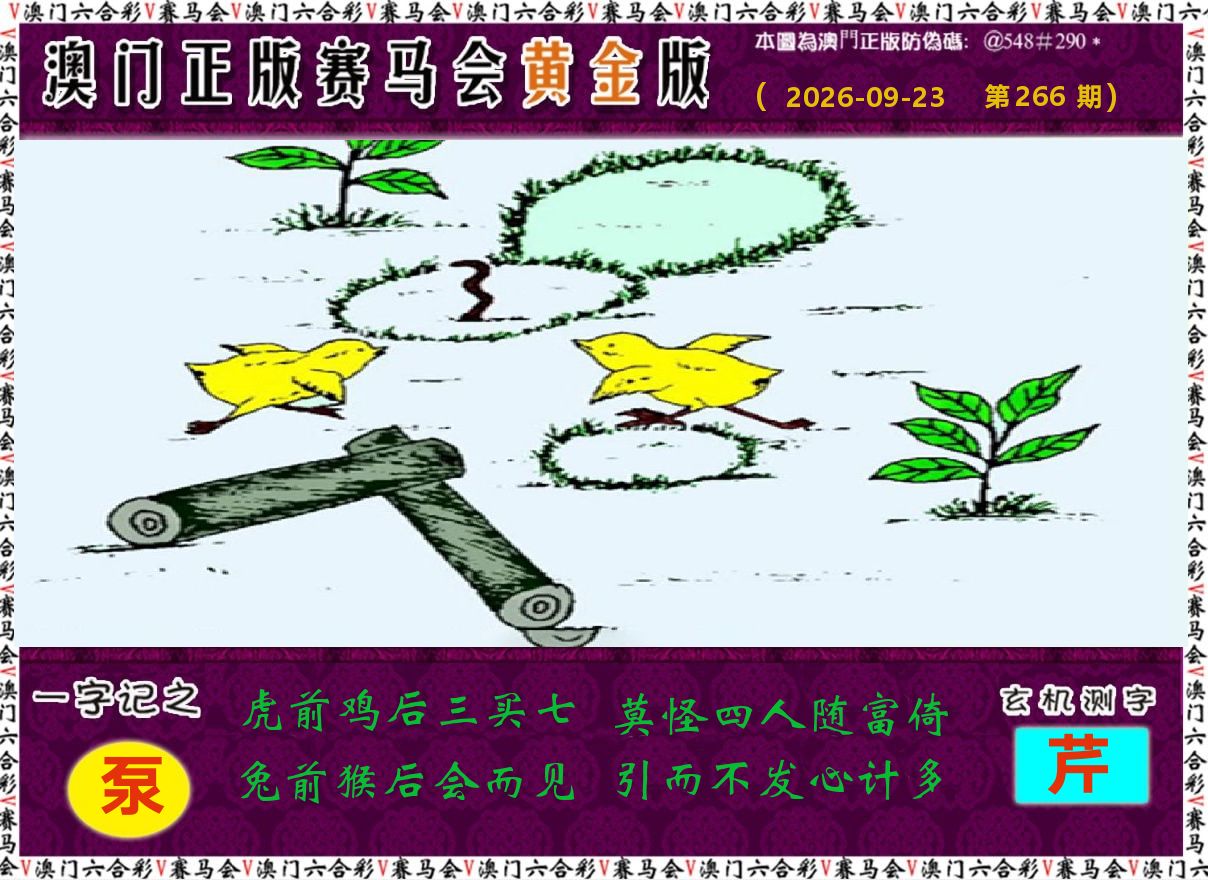 赛马会黄金版 第266期