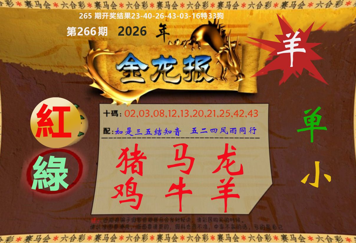金龙报 第266期