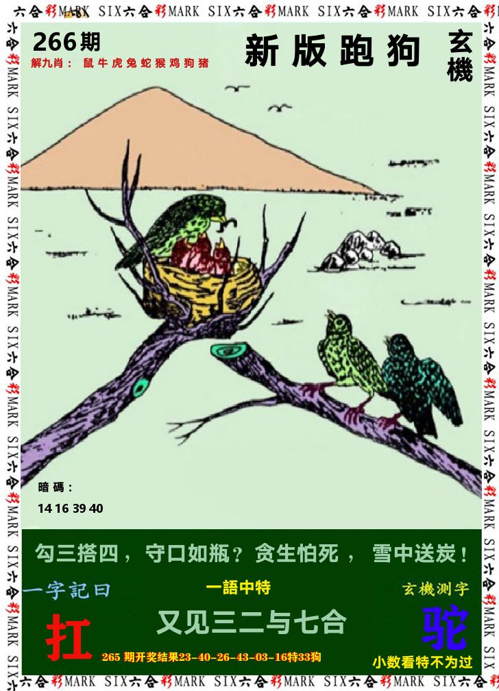悟入其图 第266期