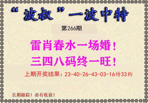 波叔中特 第266期