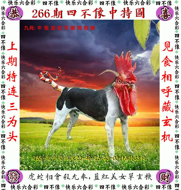 四不像 第266期