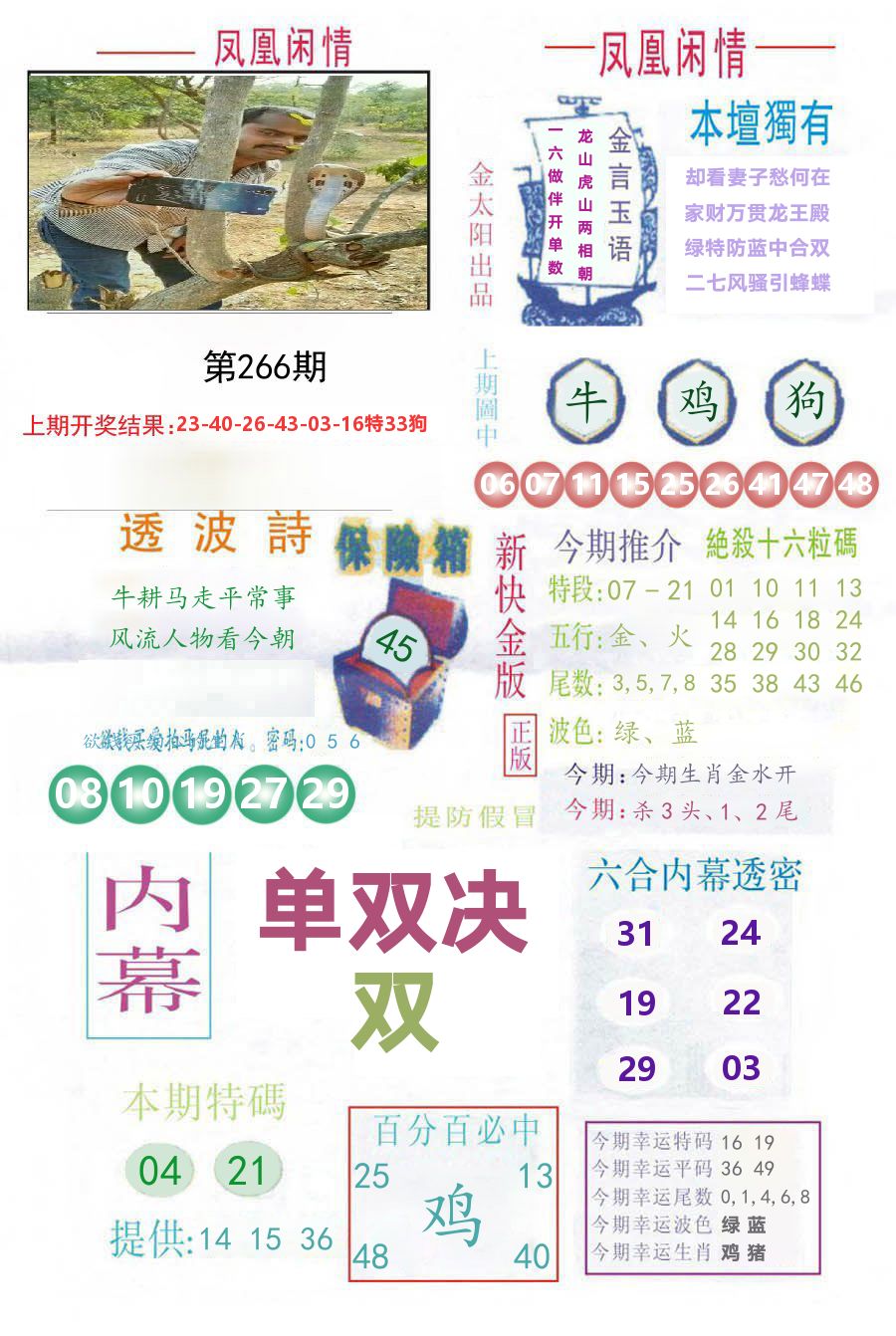 凤凰闲情 第266期