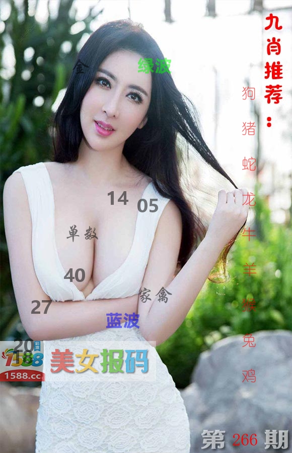 美女报码 第266期