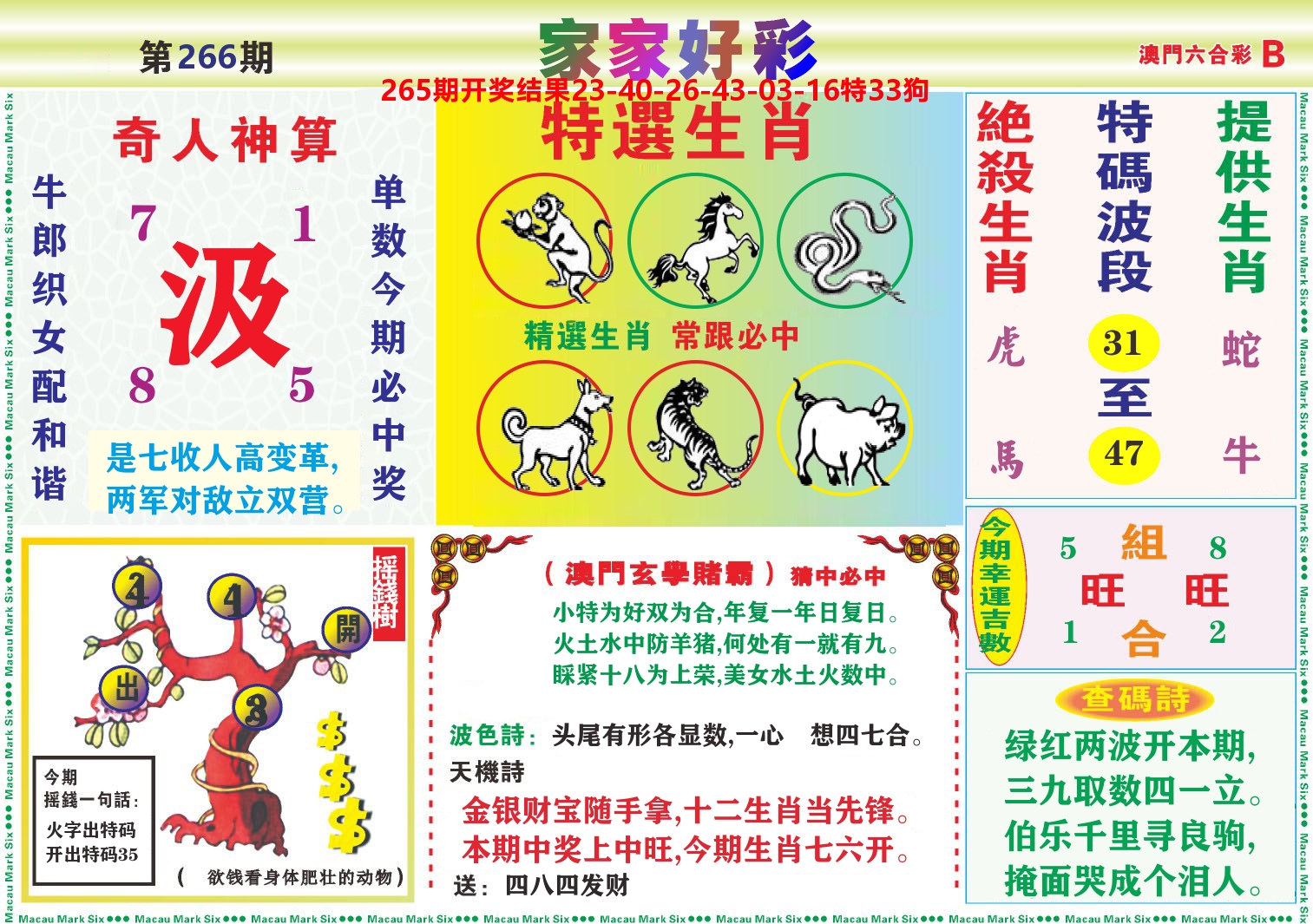 家家好彩B 第266期