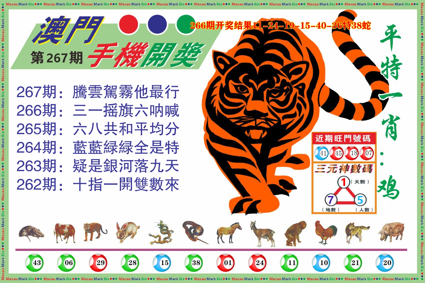 澳门开奖报 第267期