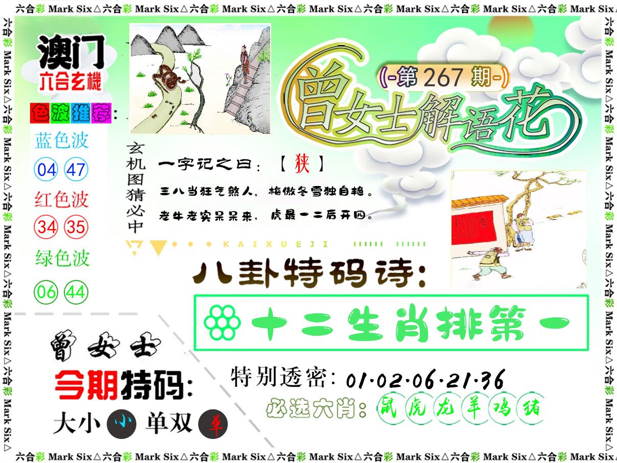 曾女士解语花 第267期