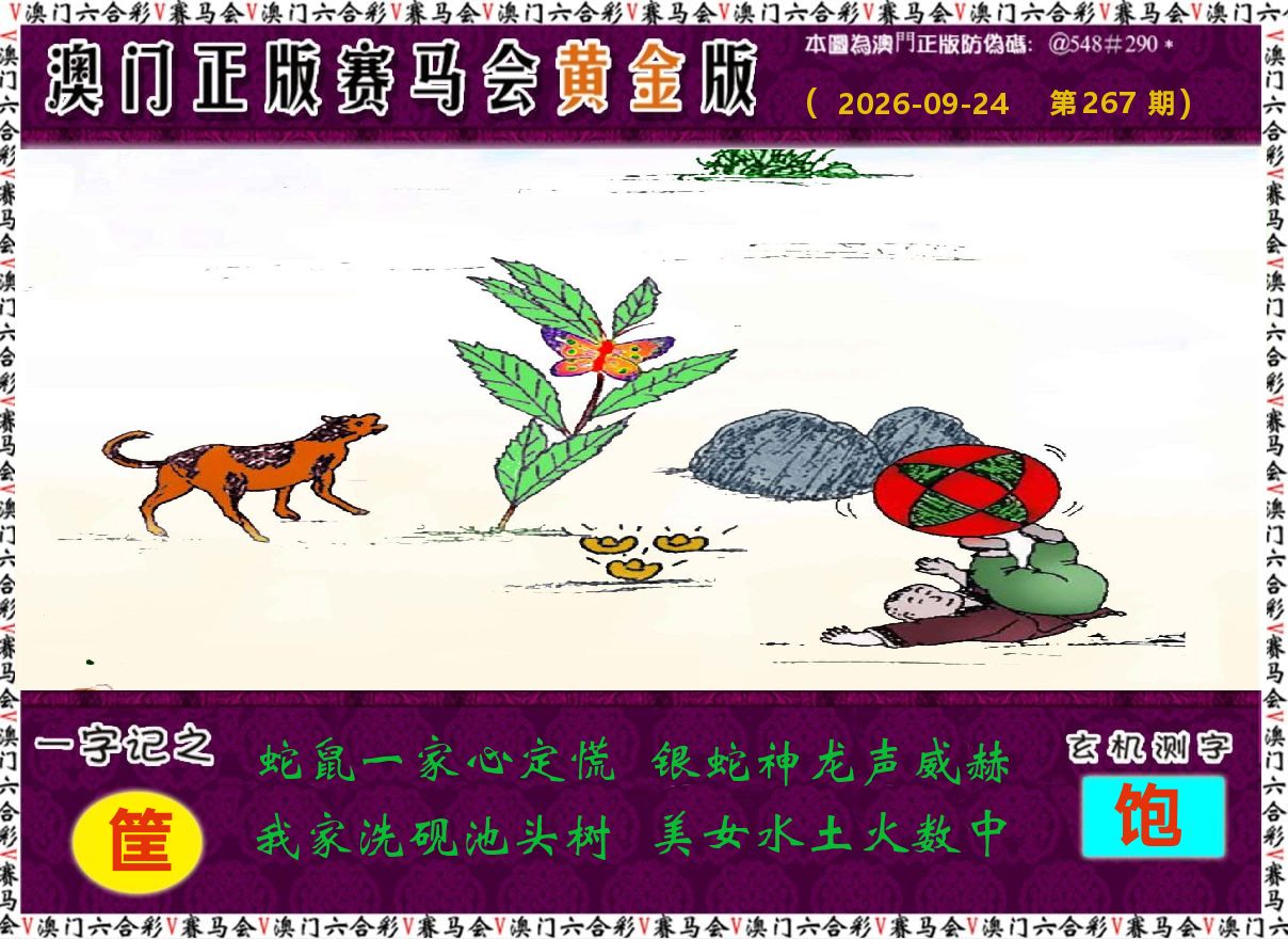 赛马会黄金版 第267期