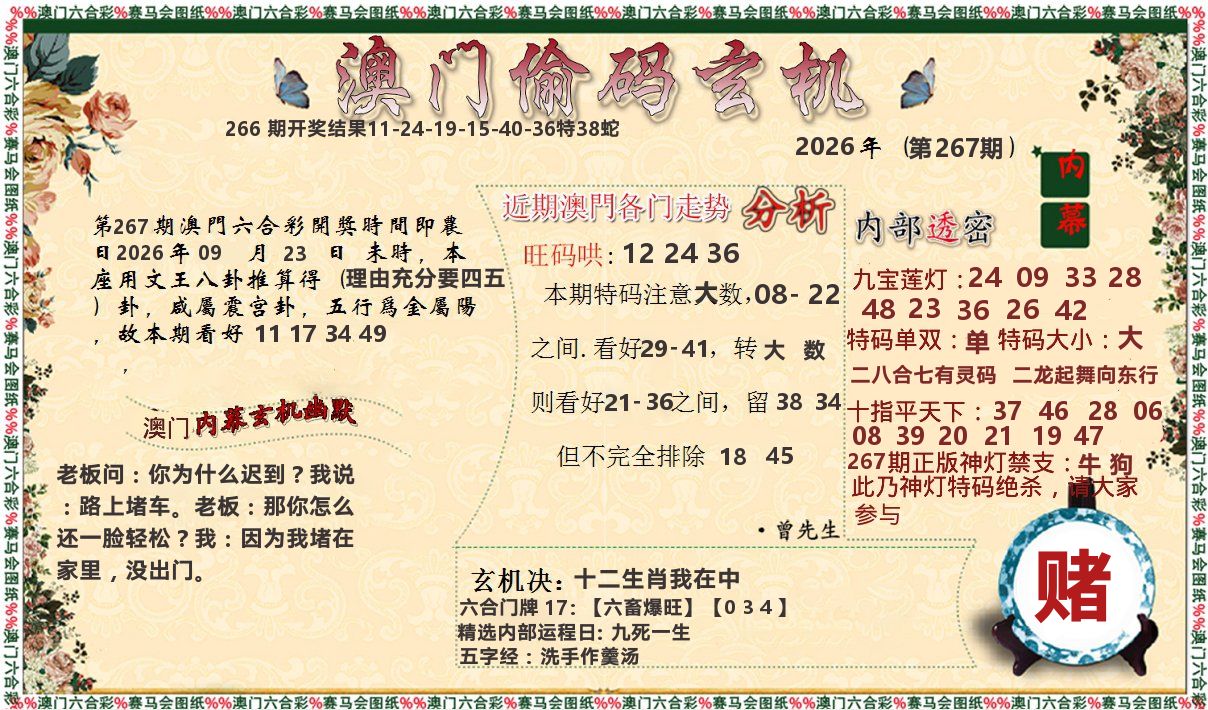偷码玄机 第267期
