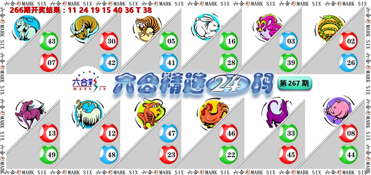 六合精选24码 第267期