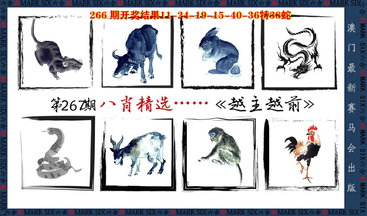 八肖精选 第267期
