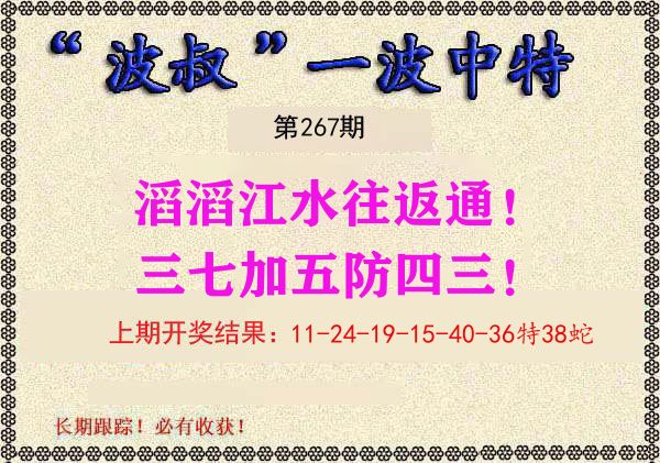 波叔中特 第267期