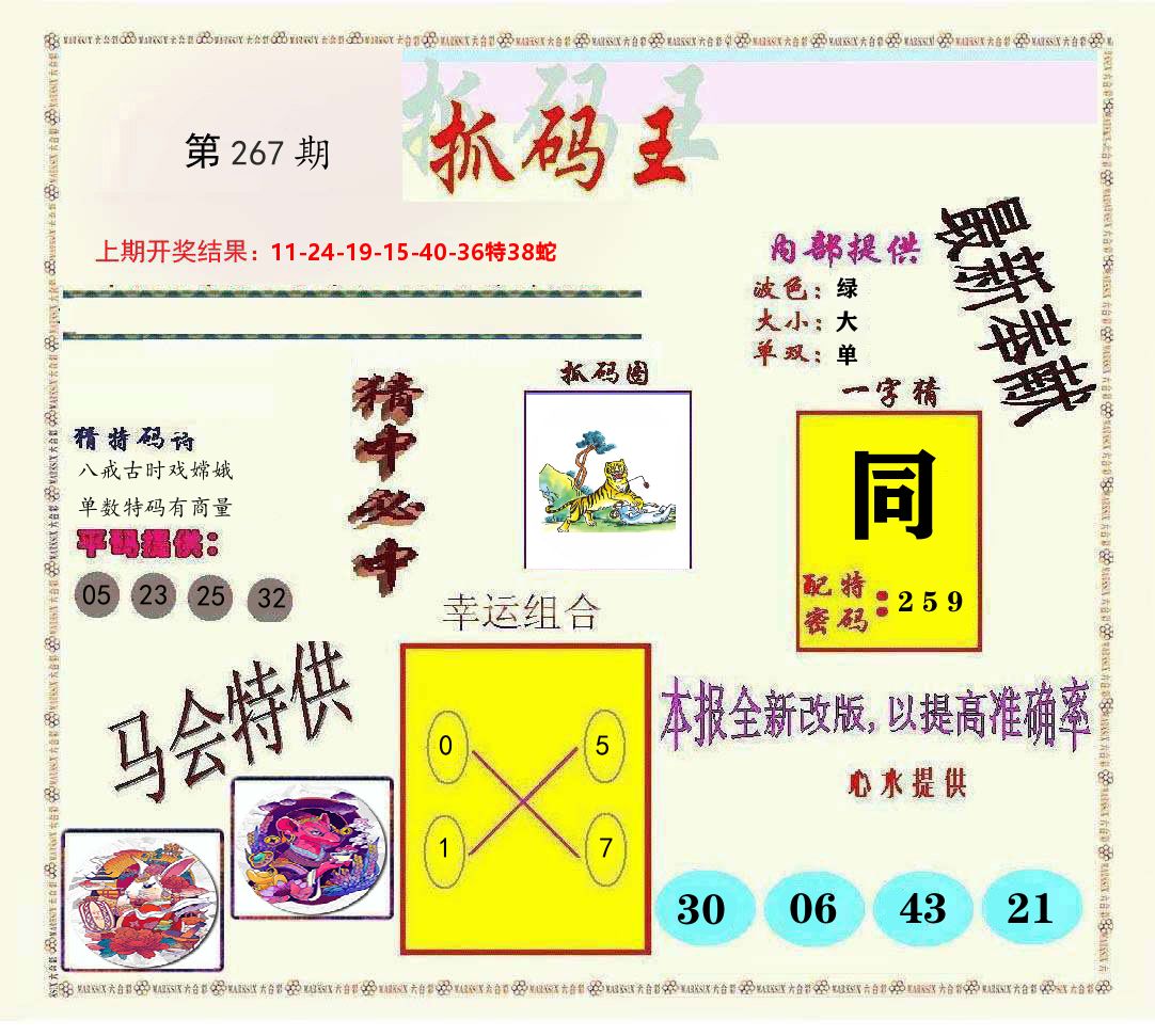 抓码王 第267期