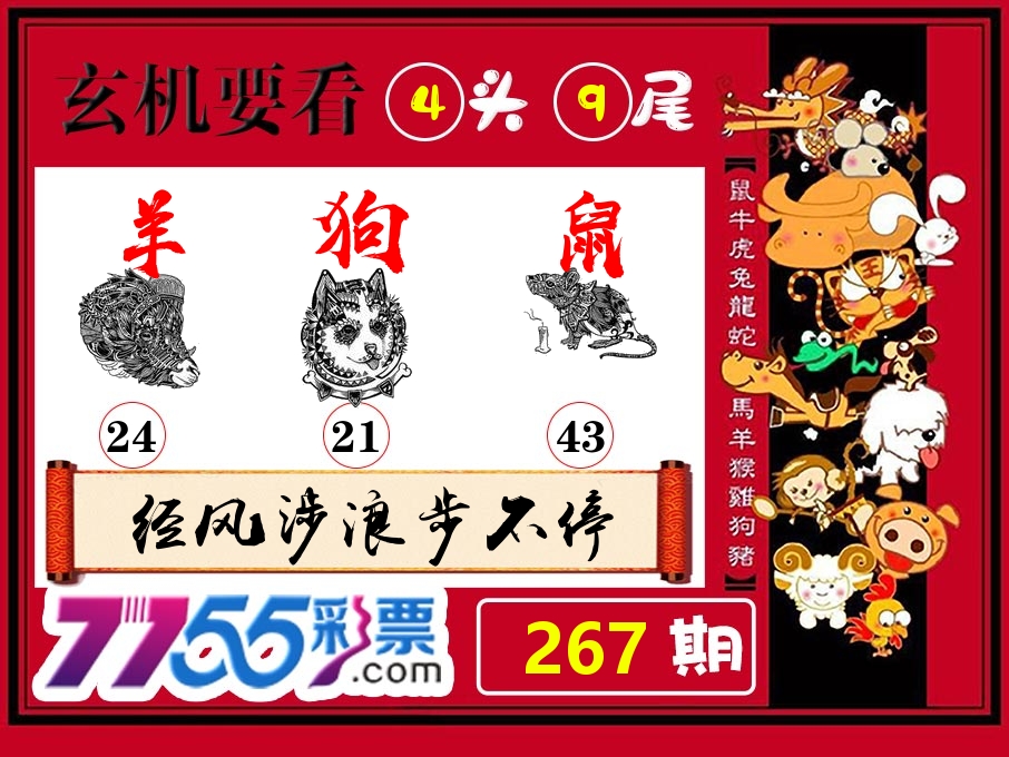 玄机要看 第267期