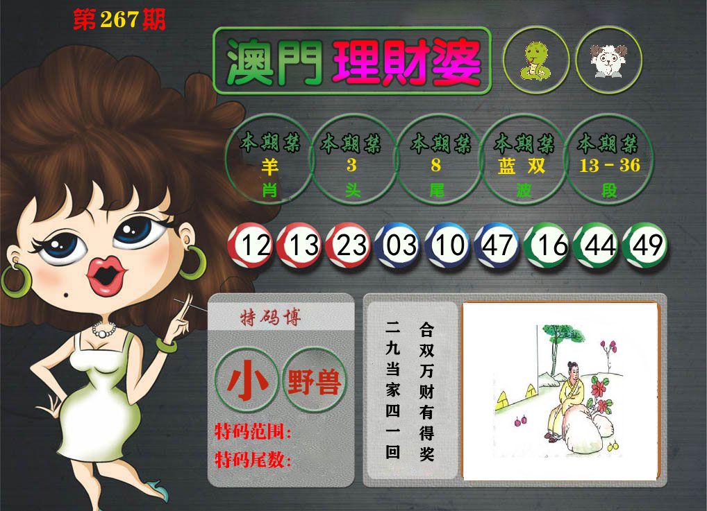 理财婆 第267期