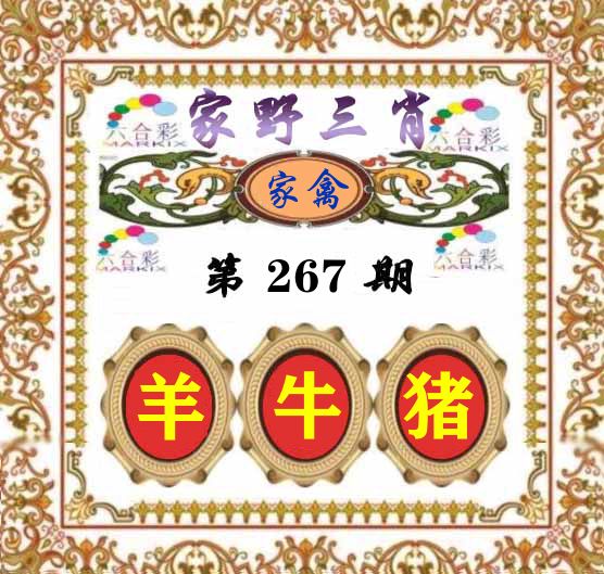 家野三肖 第267期