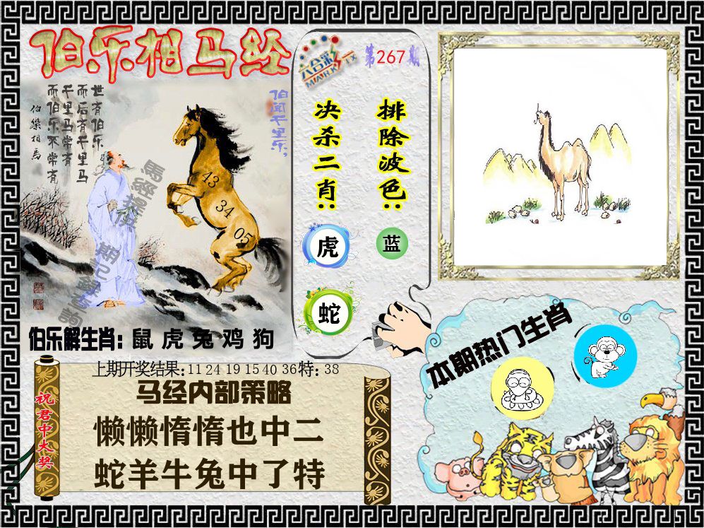 伯乐相马经 第267期