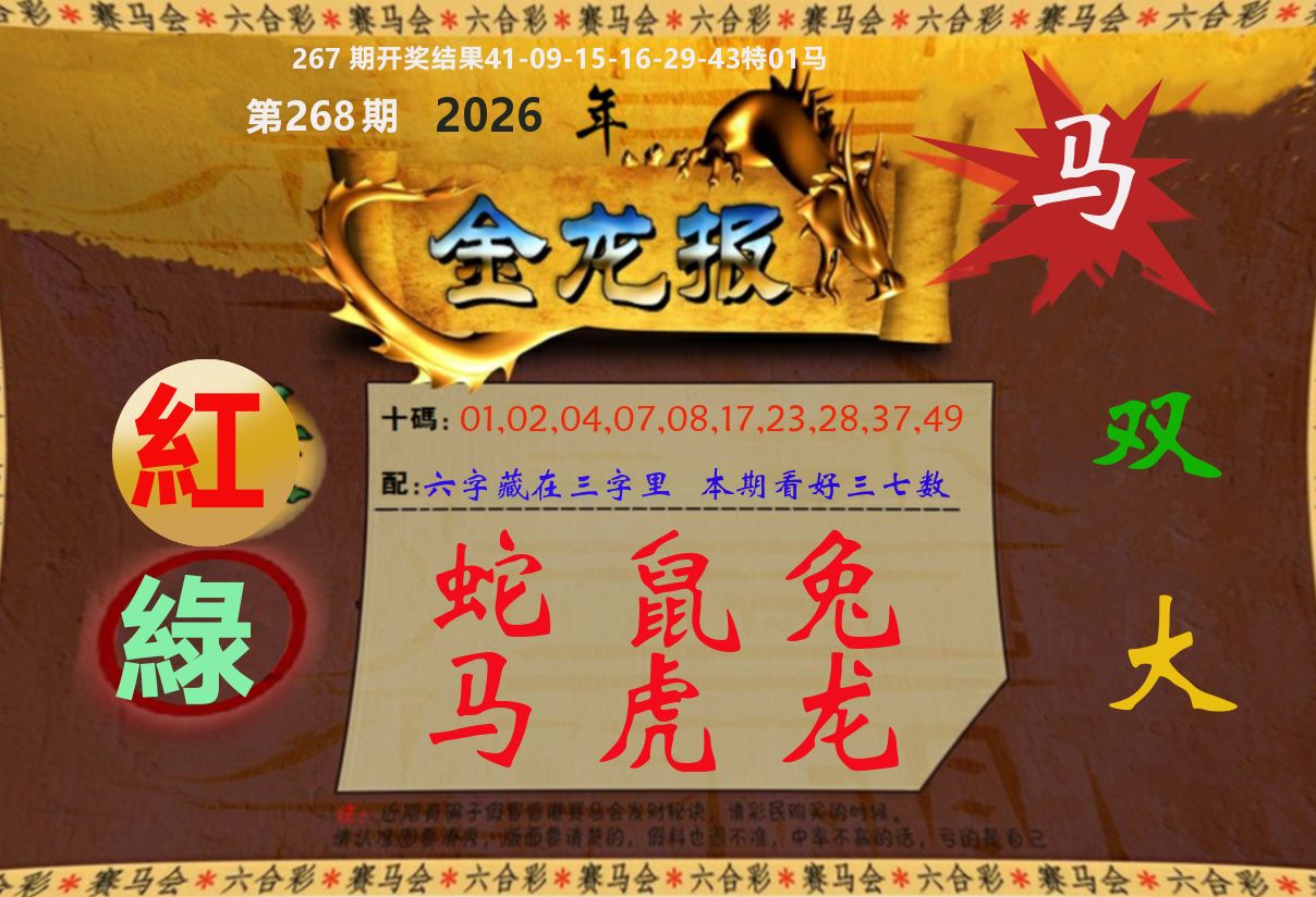 金龙报 第268期