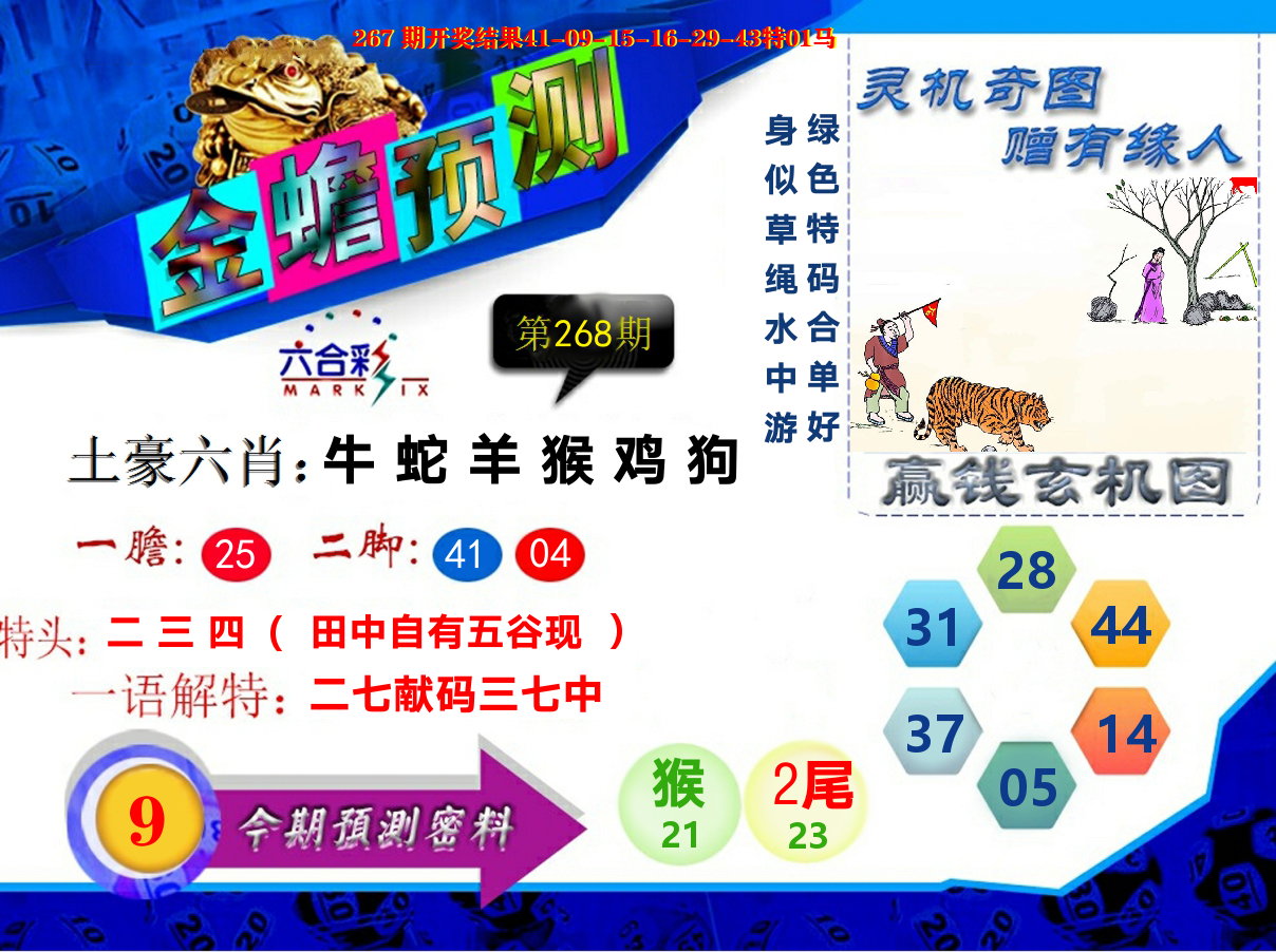 金蟾预测 第268期