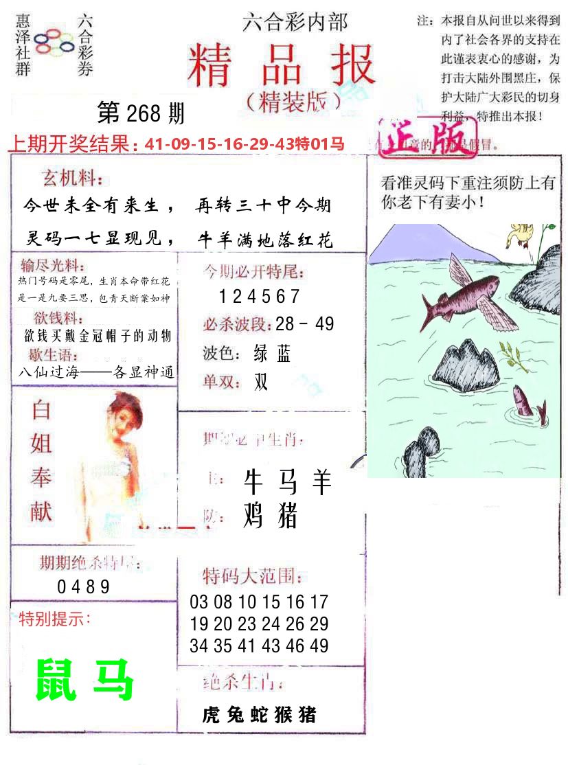精品报 第268期