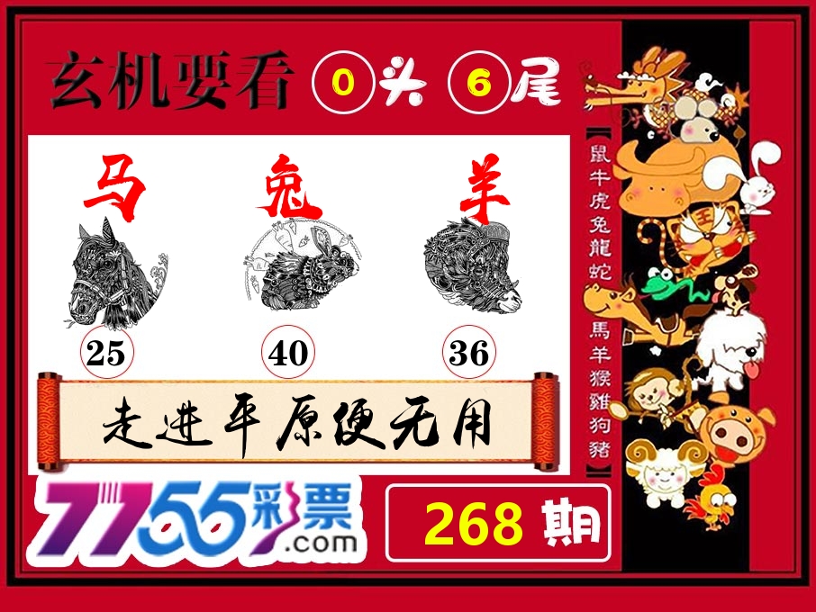 玄机要看 第268期