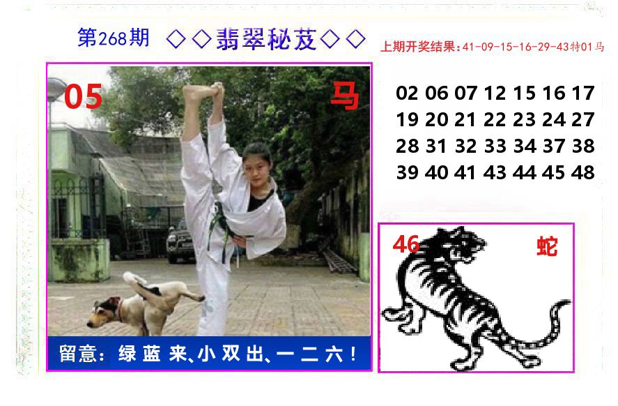 翡翠秘芨 第268期
