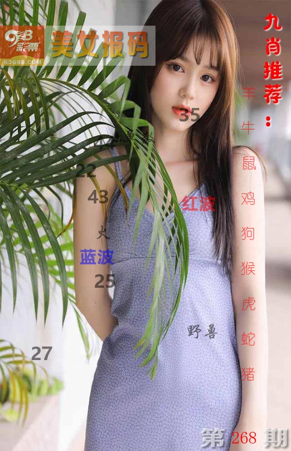 美女报码 第268期