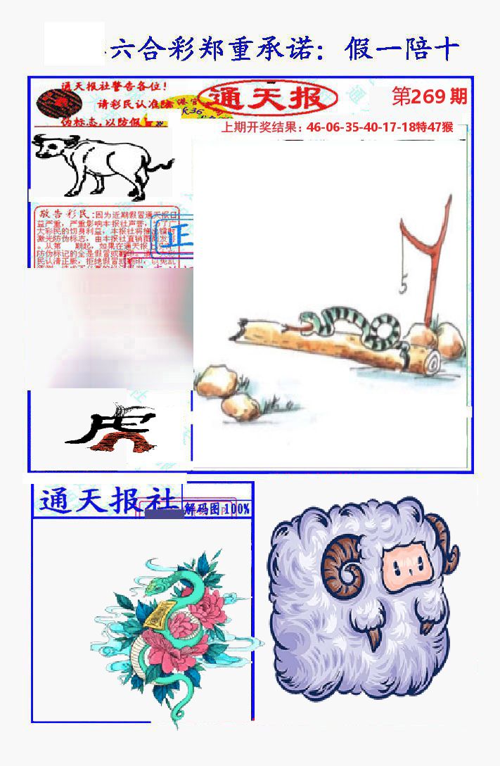 通天报 第269期