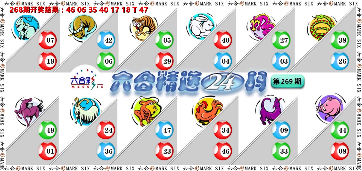 六合精选24码 第269期