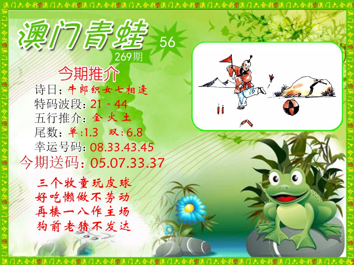 青蛙系列56 第269期