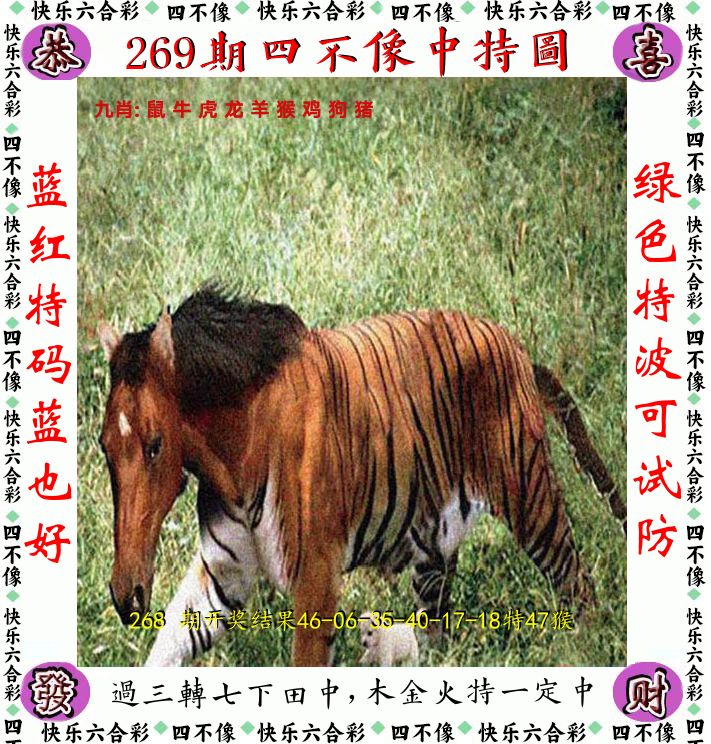 四不像 第269期