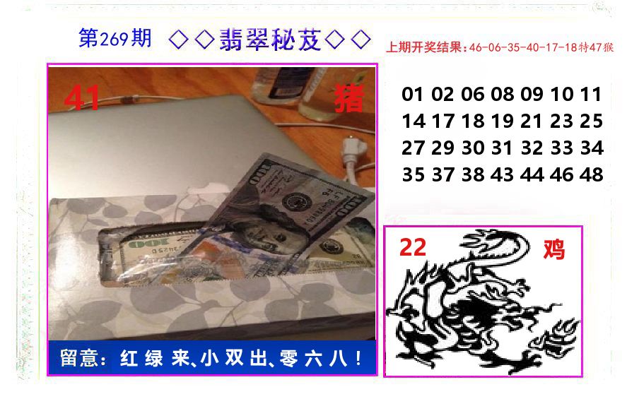翡翠秘芨 第269期