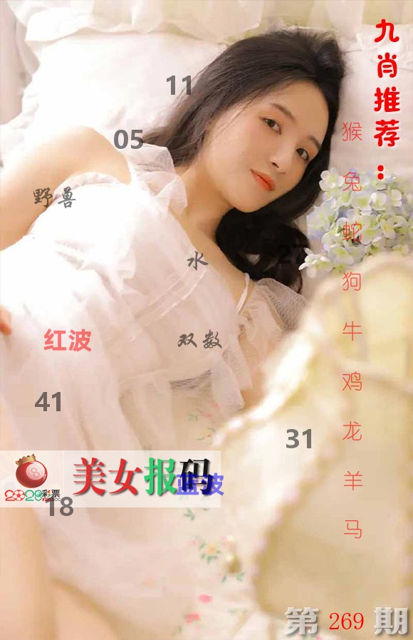 美女报码 第269期