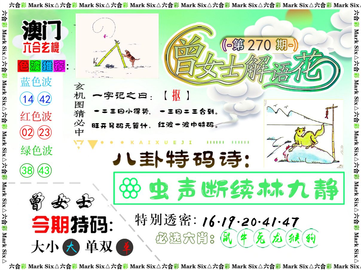 曾女士解语花 第270期