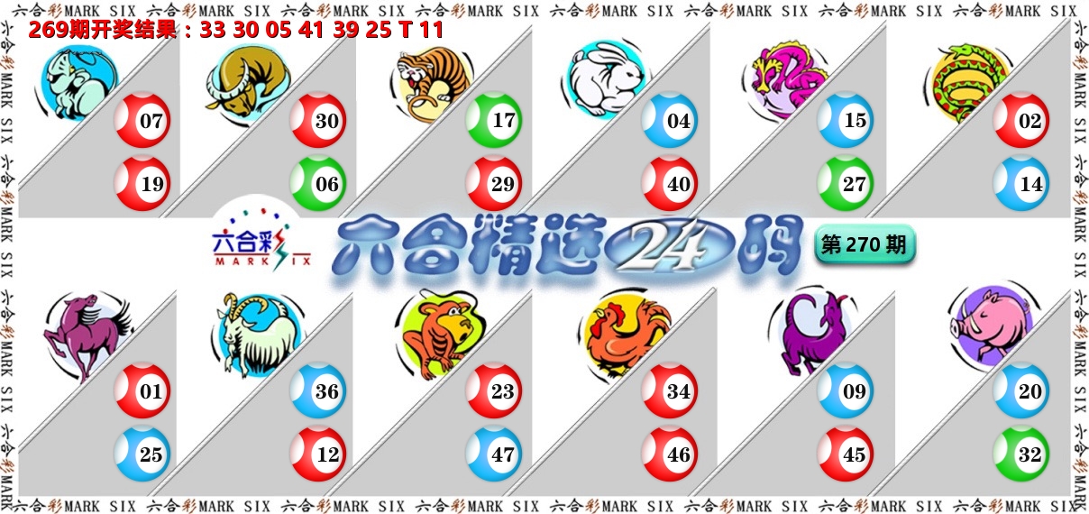 六合精选24码 第270期
