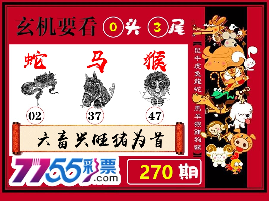 玄机要看 第270期