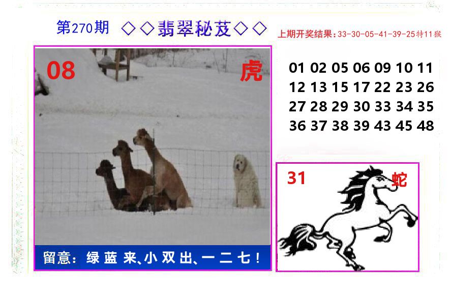 翡翠秘芨 第270期