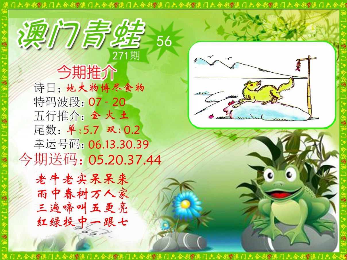 青蛙系列56 第271期