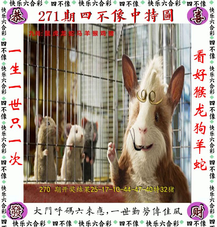 四不像 第271期