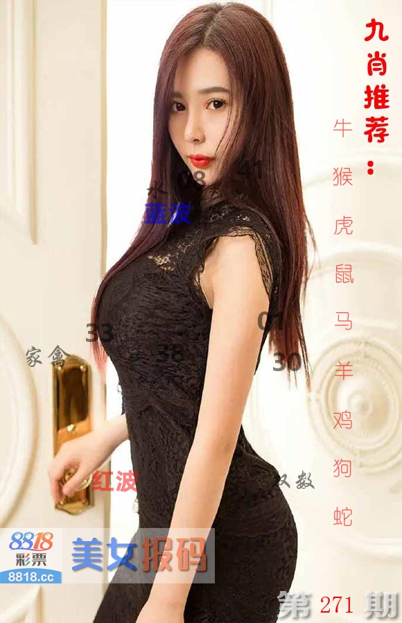美女报码 第271期