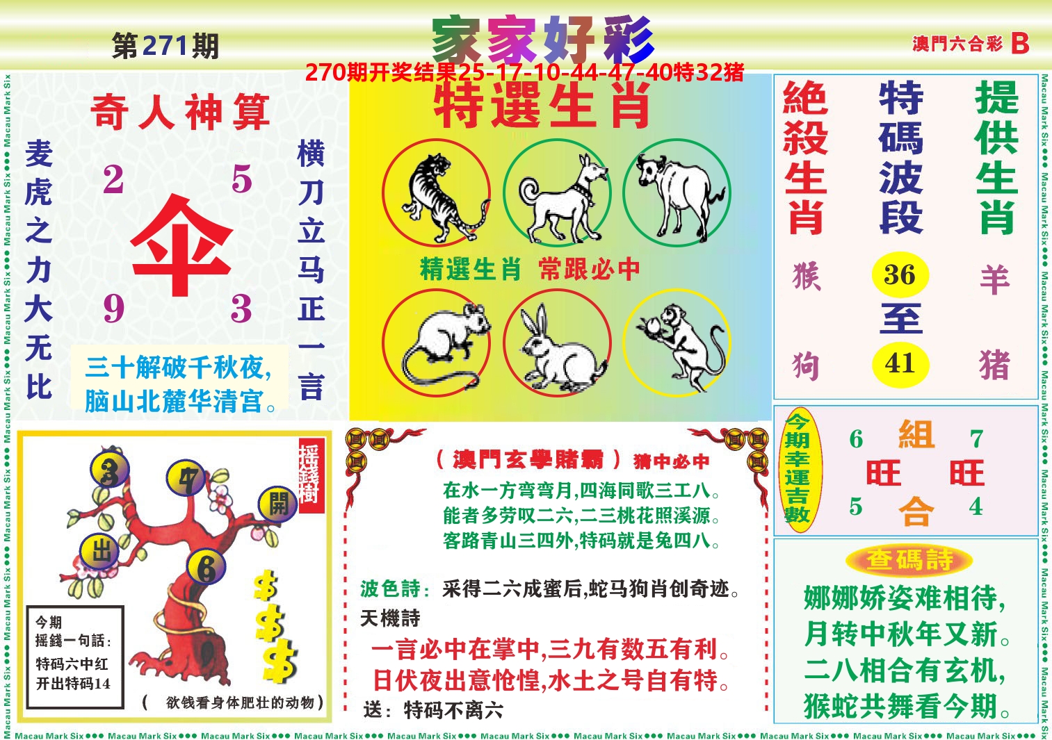 家家好彩B 第271期